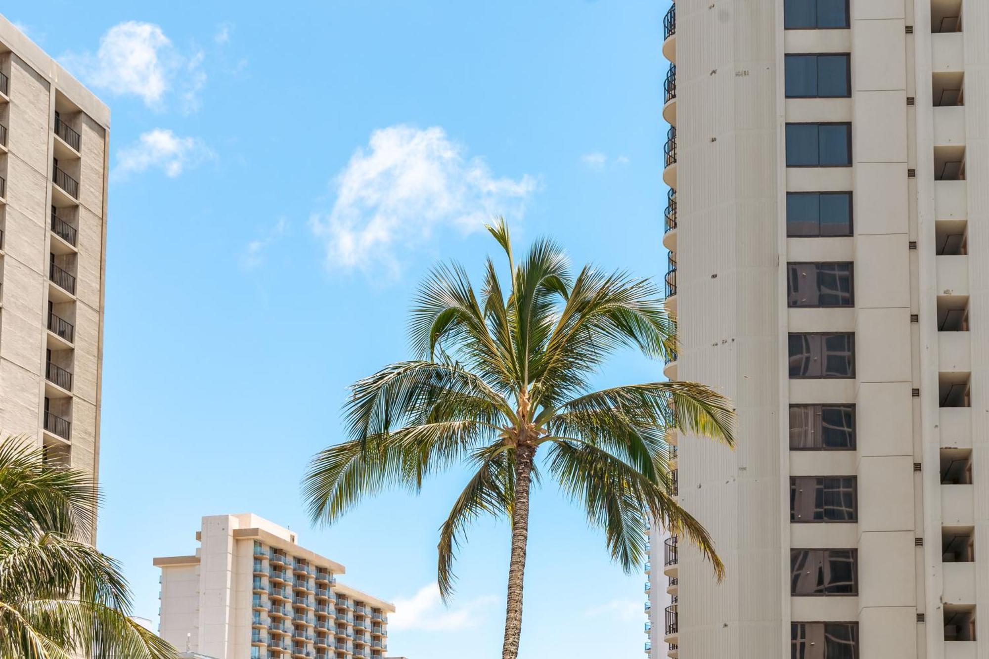 Waikiki Banyan 1Br With Great Ocean Views, Steps To Beach & Parking! Хонолулу Екстериор снимка
